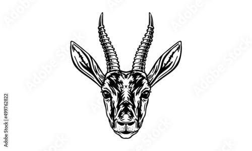Chinkara on white background, vector, illustration logo, sign, emblem.