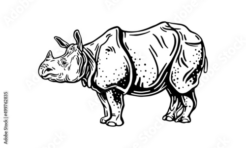 Indian rhinoceros on white background, vector, illustration logo, sign, emblem.