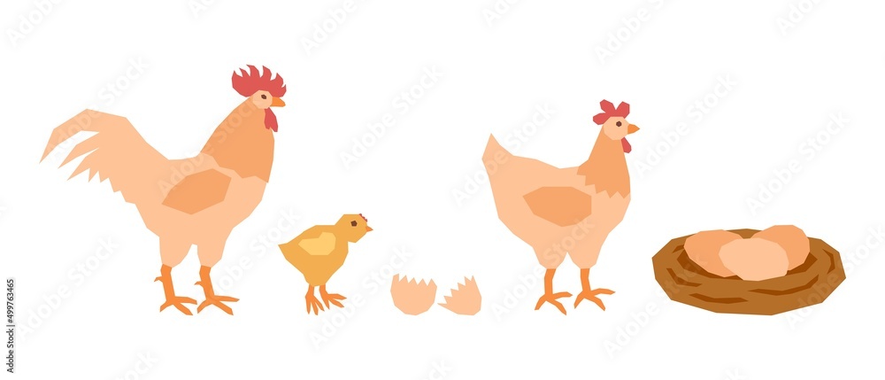 A set of a mama chicken, a little chicken, a rooster dad and a nest of eggs. Vector illustration in flat style. A set of a mama chicken, a little chicken, a rooster dad and a nest of eggs. Vector illustration in flat style.