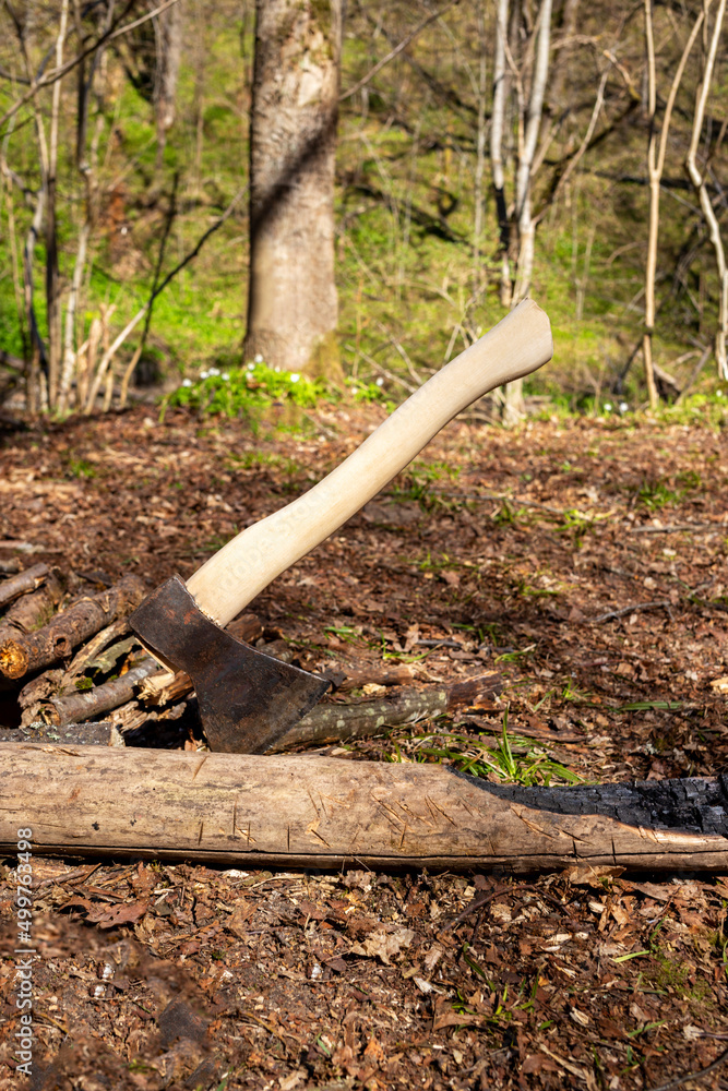 Axe cut in the chopping block in forest background. Lumber jacks wood cutting work tool. Axe cut in the chopping block in forest background. Lumber jacks wood cutting work tool.