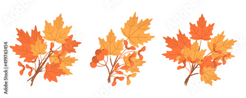 Three natural autumn bouquets with maple leaves and seeds, autumn herbarium, school. Seasonal composition for the design of greeting cards, holiday banners and posters. Flat vector on white.