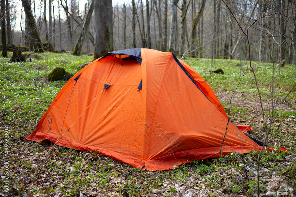 Tourism concept. Dawn in a foggy forest with a lonely tent. Man lives in the forest Tourism concept. Dawn in a foggy forest with a lonely tent. Man lives in the forest