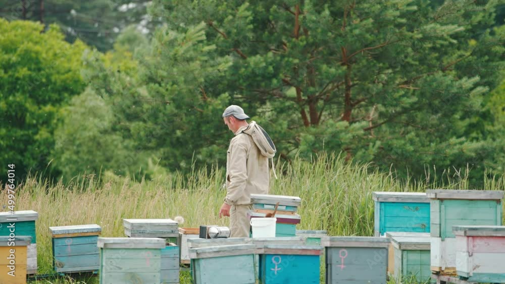 Apiarist standing at his bee farm located near the woods. Man is walking and choosing the hive to check up. Nature backdrop. Apiarist standing at his bee farm located near the woods. Man is walking and choosing the hive to check up. Nature backdrop.