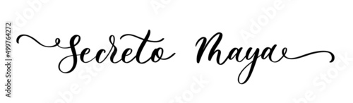 Secret Maya vector inscription in spanish