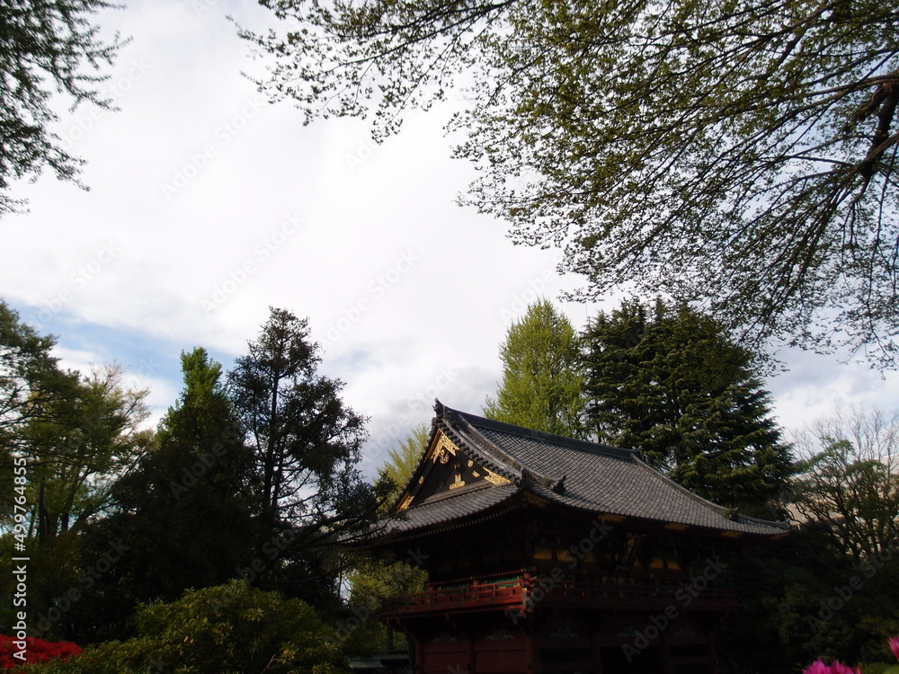 Japanese “Nezu Shrine” pagoda with ancient trees and nature, spring 2022 Tokyo Japan Japanese “Nezu Shrine” pagoda with ancient trees and nature, spring 2022 Tokyo Japan