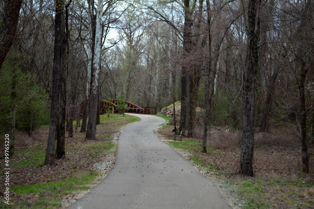 Walking, Running and Biking path thought the park.