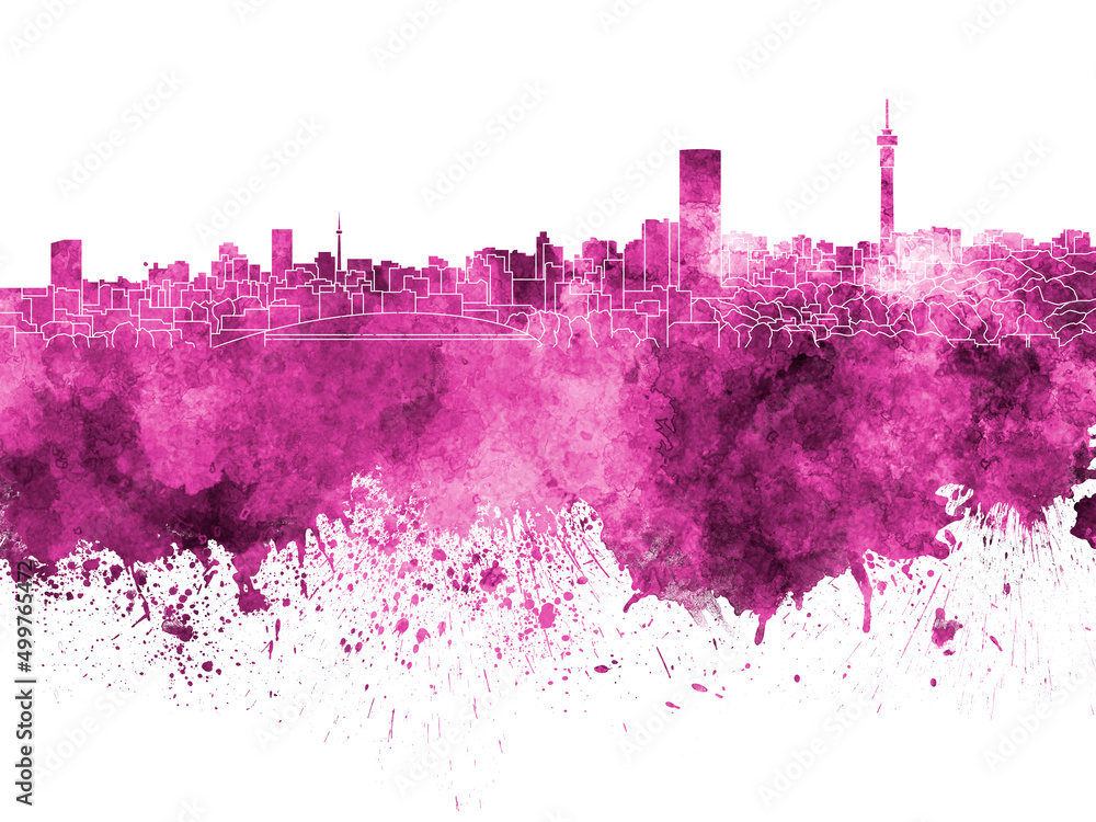 Naklejka premium Johannesburg skyline in pink watercolor on white background
