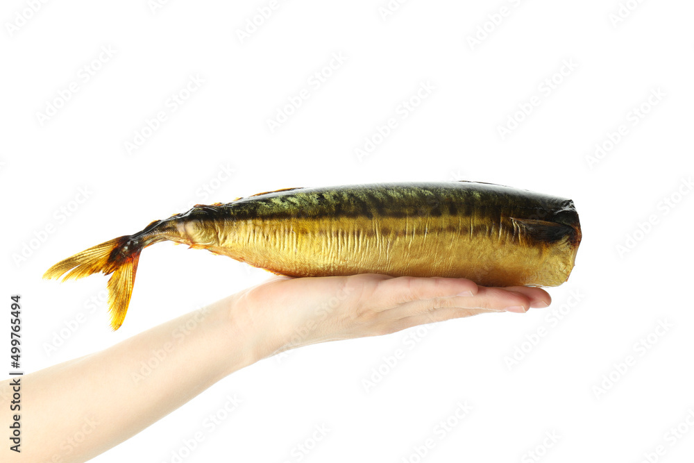 Female hand holds smoked mackerel, isolated on white background Female hand holds smoked mackerel, isolated on white background