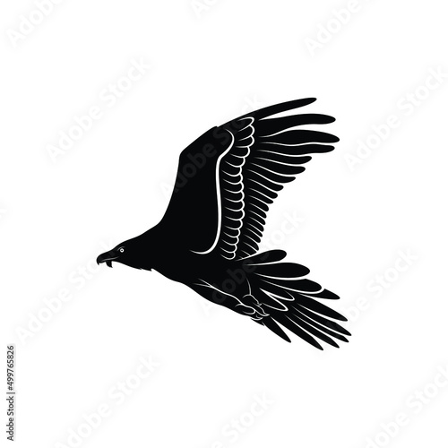 bearded vulture bird silhouette vector illustration abstract