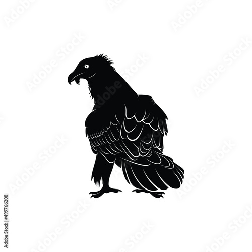 bearded vulture bird silhouette vector illustration abstract