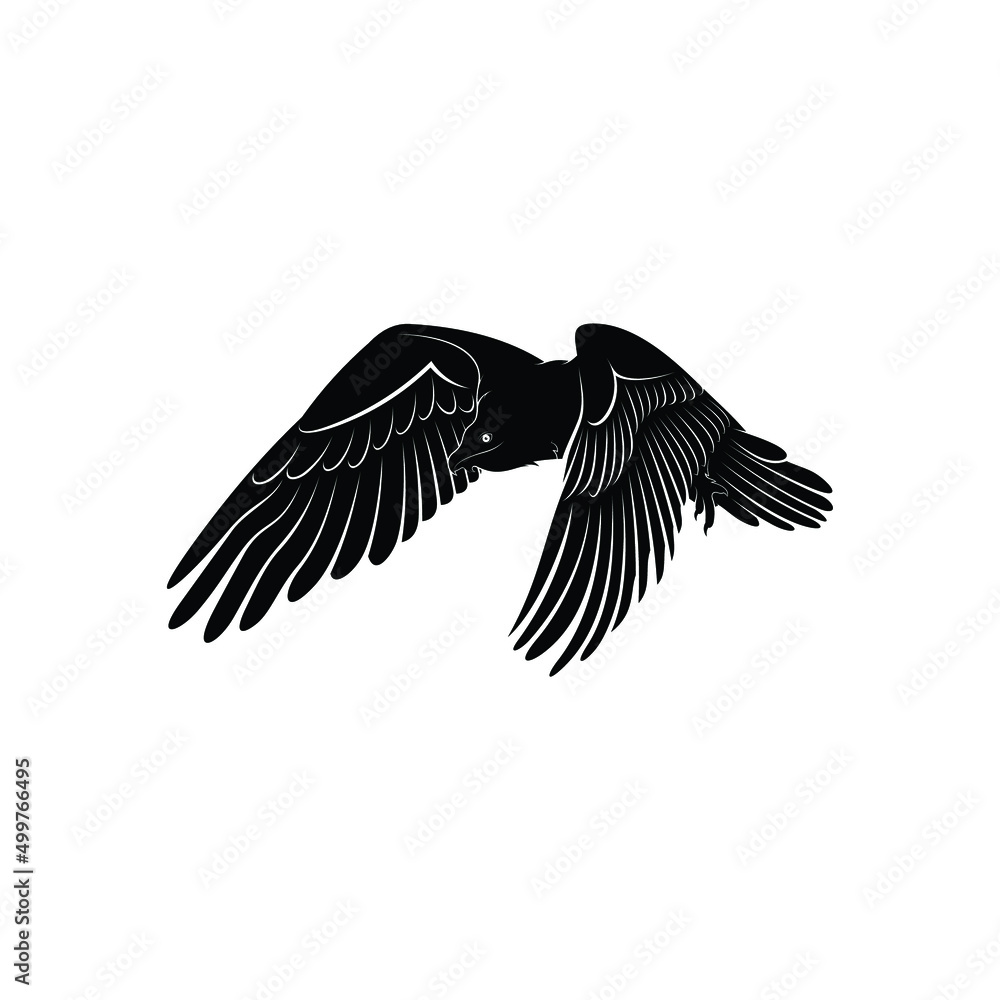 Naklejka premium bearded vulture bird silhouette vector illustration abstract