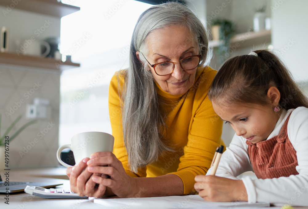 Small girl with senior grandmother doing homework at home. Small girl with senior grandmother doing homework at home.