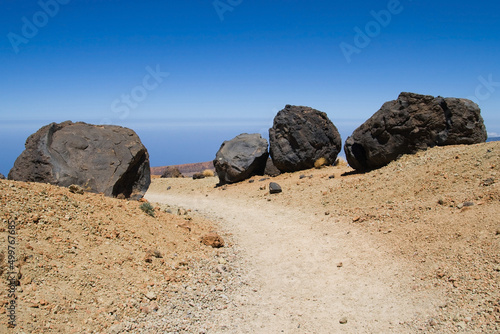 Obraz na płótnie Accretion balls on the footpath at Montaña Blanca, Tenerife, Canary Islands w salonie