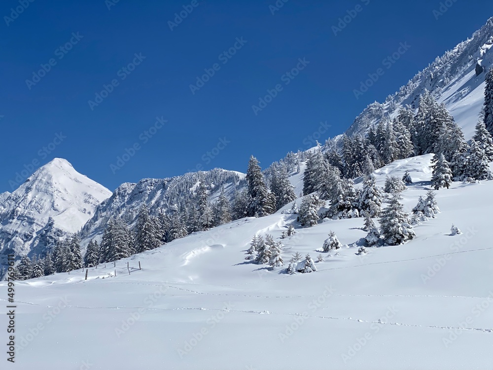A natural fairy tale with an unrealistically beautiful snowy winter landscape of hills and alpine pastures of the Alpstein massif in the Obertoggenburg region - Nesslau, Switzerland (Schweiz) A natural fairy tale with an unrealistically beautiful snowy winter landscape of hills and alpine pastures of the Alpstein massif in the Obertoggenburg region - Nesslau, Switzerland (Schweiz)