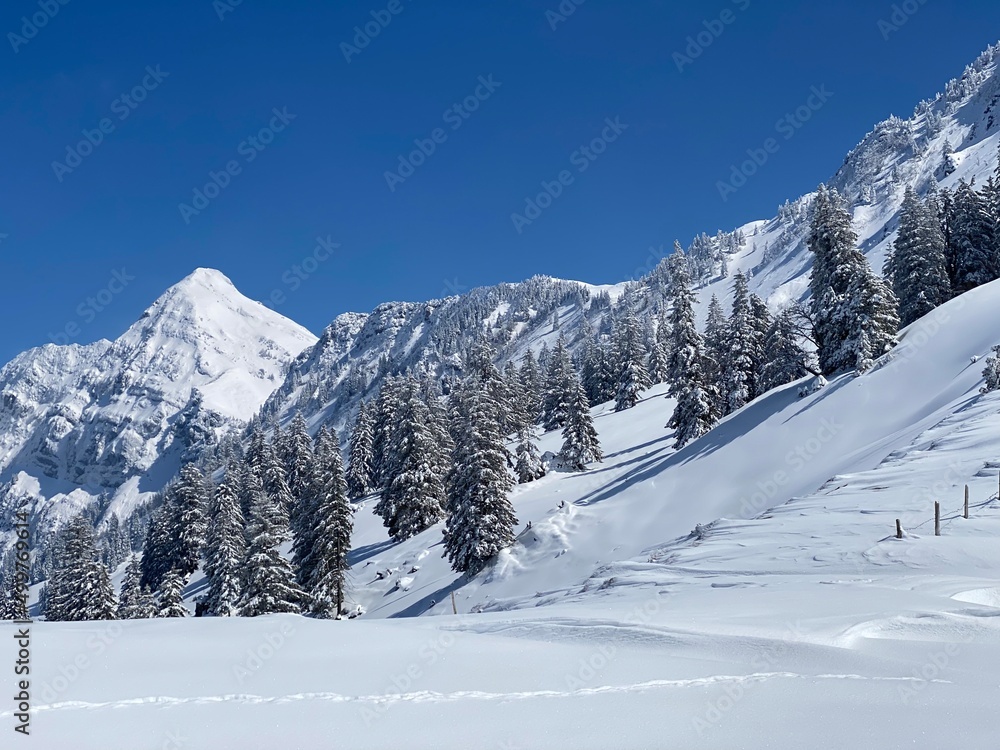 A natural fairy tale with an unrealistically beautiful snowy winter landscape of hills and alpine pastures of the Alpstein massif in the Obertoggenburg region - Nesslau, Switzerland (Schweiz)