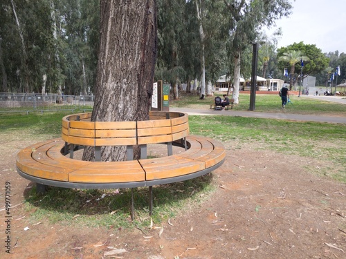 Beautiful Round Bench Surrounding a Tree in the National Park in Ramat Gan, Israel