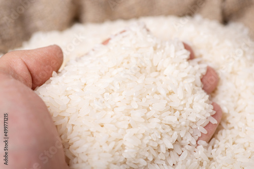 Hand of a man looking through harvested rice in a linen sack, checking its quality. Rice concept