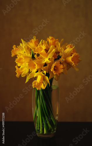 Fototapeta Naklejka Na Ścianę i Meble -  Still life. Beautiful bouquet of vivid yellow daffodils in a glass vase on the beige background. Fresh spring flowers.