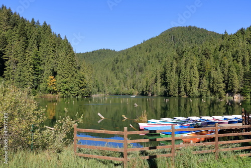 Lacu Rosu, Red Lake, at early autumn, in Transylvania, Harghita county, Romania, locals name it the Killer Lake