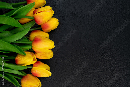 Yellow tulips on the black background