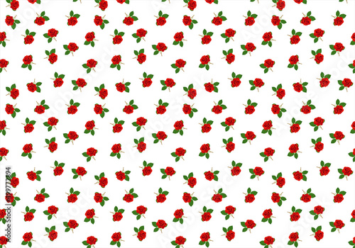 Estampado de rosas rojas sobre fondo blanco. Fondo floral de rosas rojas sobre fondo blanco