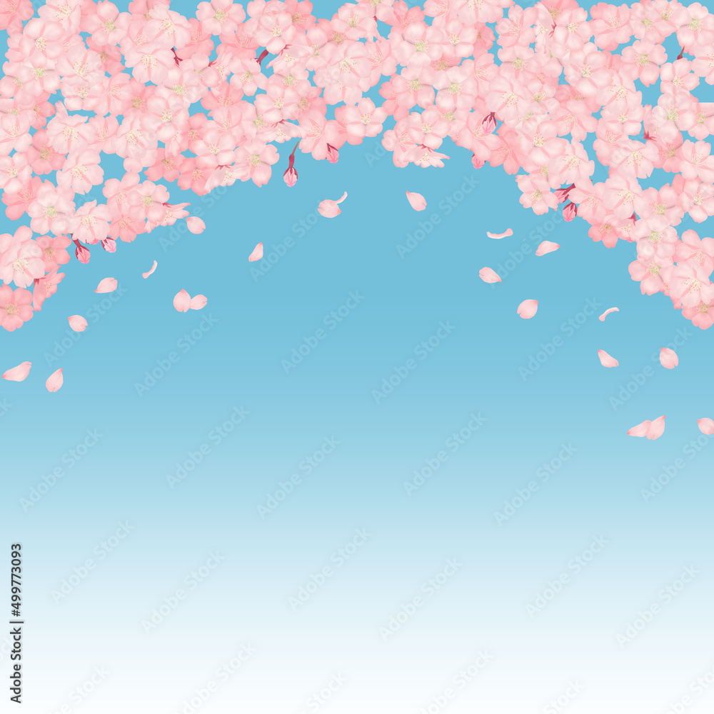 青い背景に満開の桜が散っている