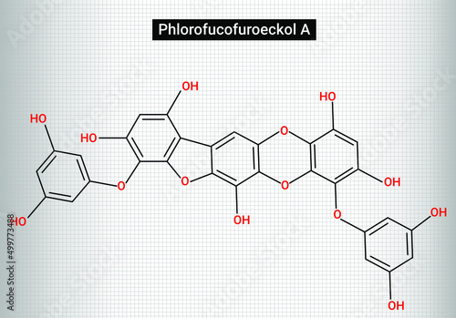 Phlorofucofuroeckol A photo