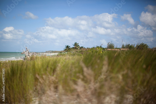 landscape with sky and clouds