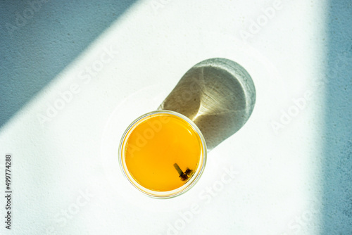 Overhead view of a shot of turmeric Moon milk with fresh cloves photo