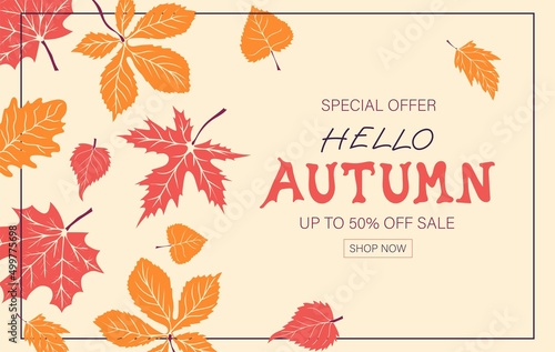 Hello Autumn sale background with autumn maple, oak and chestnut leaves for advertising, banners, leaflets and flyers. Vector illustration.
