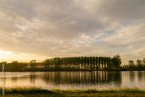 golden sunset in the park in Monticelli D'Ongina, Piacenza, Emilia Romagna, Italy at the Po river  photo