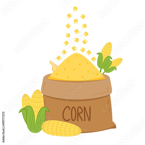 Corn sack vector. Corn on white background. Illustration of stylized sack with fresh ripe corn cobs.