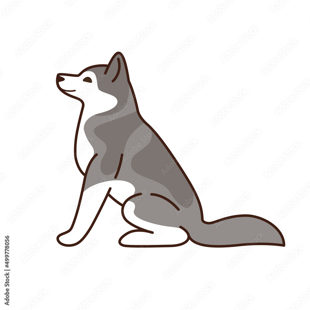 Cute husky illustration. Dog sitting. Contour print for poster, postcard, pattern. Cute husky illustration. Dog sitting. Contour print for poster, postcard, pattern.