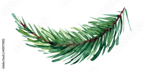 Watercolor Christmas fir branches. Illustration for greeting cards and invitations isolated on white background.