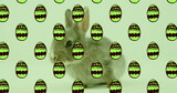 Image of green patterned easter eggs and easter bunny over green background