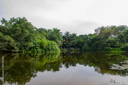 The view of Eco Lake in Botanic gardens Singapore. It has been ranked Asia's top park attraction since 2013, to be honoured as a UNESCO World Heritage Site.