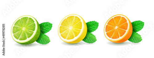 Canvastavla Citrus fruits set