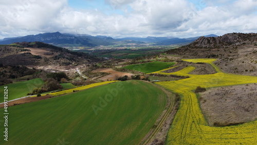 aerial view of rapeseed fields seen from above  © urdialex