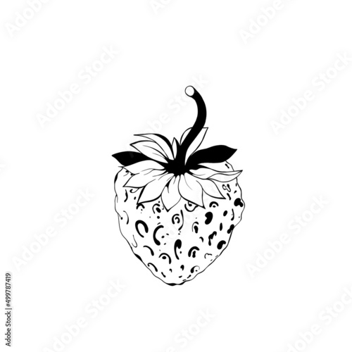 sketch of a strawberry. delicious juicy strawberries - fruit design isolated ...