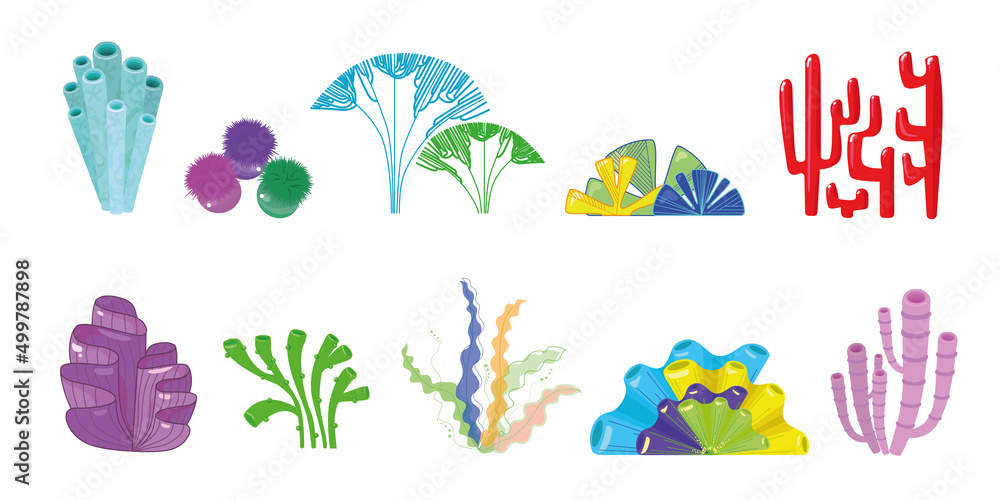 Set of lovely corals and algae from different form on white background. Vector beautiful tropical sea and ocean plants in cartoon style.