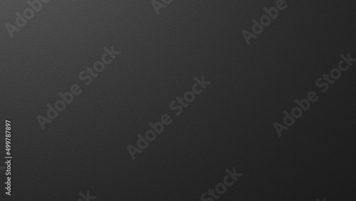 Indoor Painted Wall Texture Plain Black