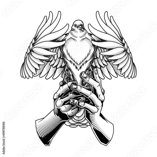 Holding peace. Vector illustration of human hands holding white flying pigeon in engraving technique isolated on white. 