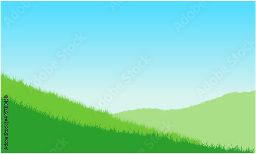 Valokuva hillside grass with blue sky background