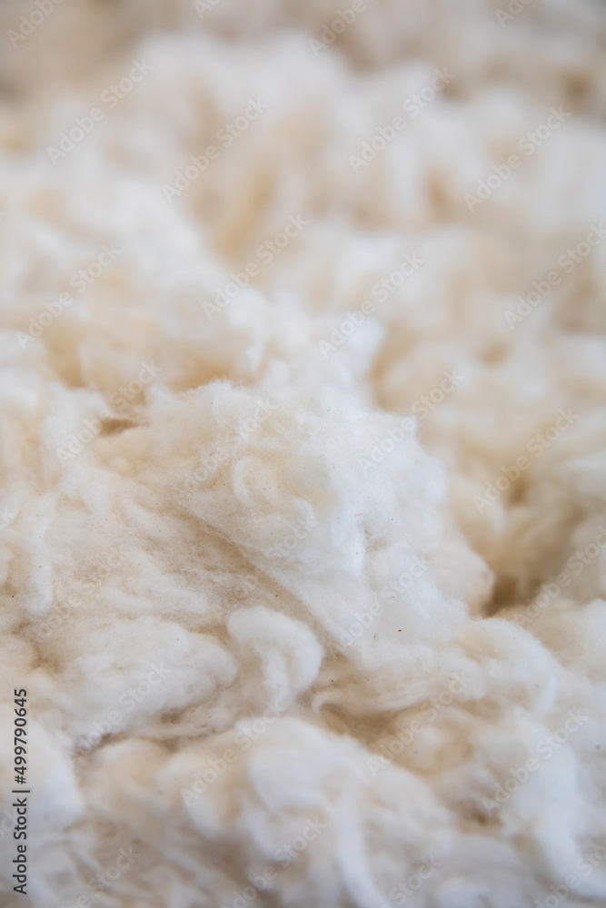 White Cotton or wool texture background surface. Textile industry concept background.