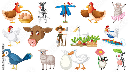 Farm animals on white background