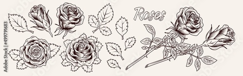 Clip art with lush blooming roses and leaves. Single flowers and flowers with stem. Engraving vintage style. Isolated monochrome vector illustration black on white.
