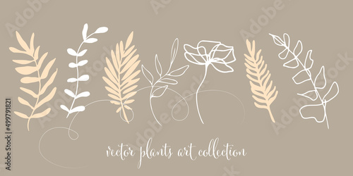 Modern plant set. Hand drawn colorful and universally usable. Flower branch and minimalistic plants. Hand drawn lines, elegant leaves for your own design. Botanical, chic and trendy plants.