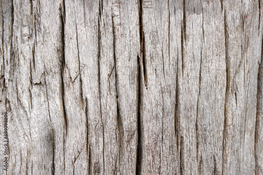 old wooden floor has a beautiful pattern.
old wooden floor has a beautiful pattern.