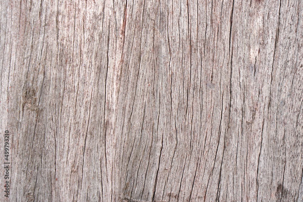 old wooden floor has a beautiful pattern.
old wooden floor has a beautiful pattern.