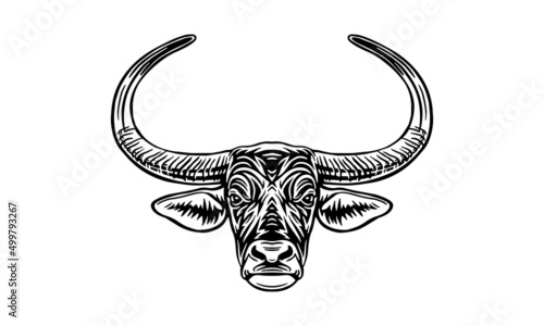 Wild water buffalo on white background, vector, illustration logo, sign, emblem.